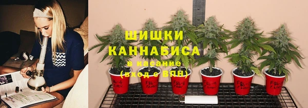 ПСИЛОЦИБИНОВЫЕ ГРИБЫ Наволоки