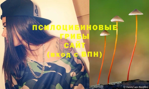 apvp Навашино